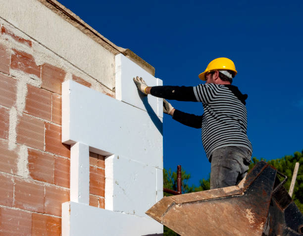 Best Insulation Maintenance and Repair in Cedaredge, CO