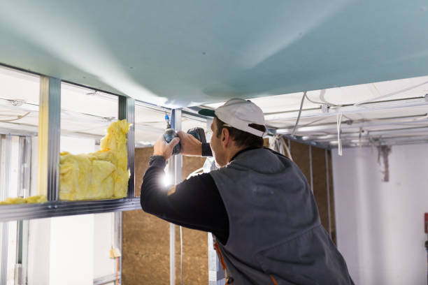 Best Energy Efficiency Insulation in Cedaredge, CO
