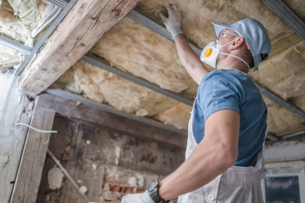 Best Commercial Insulation in Cedaredge, CO