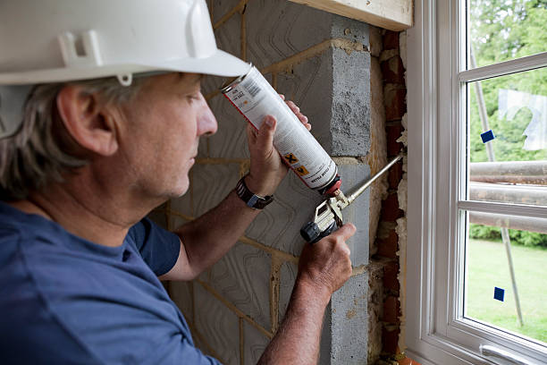 Best Geographic-Specific Insulation Services in Cedaredge, CO