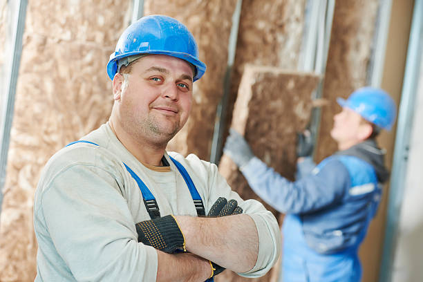 Best Cellulose Insulation in Cedaredge, CO